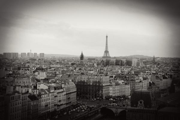 paris-skyline-cabral-stock